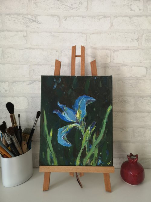 Blue iris by Elena Sanina