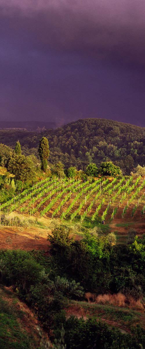 TUSCAN LANDSCAPE ITALY by Robbert Frank Hagens