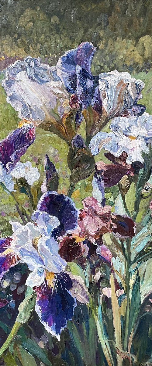 Royal iris by Nadezda Stupina