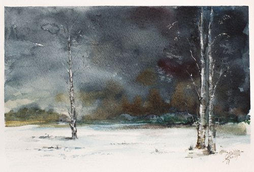 winter landscape by Andrzej Rabiega