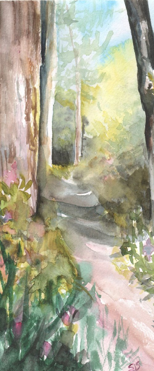 Spring Walk by Sarah Stowe