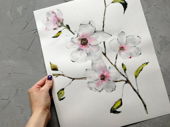 Magnolia painting. Blossoms painting