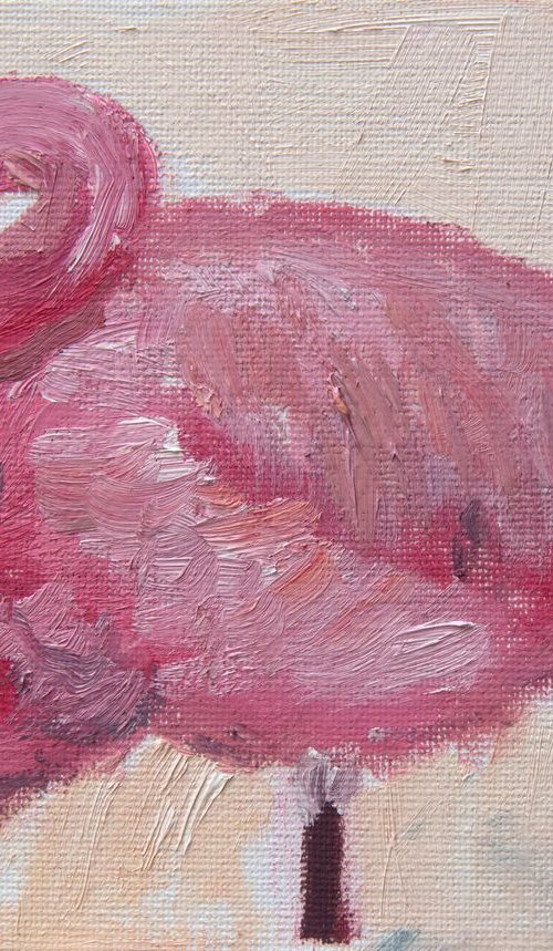 Flamingo - Flaming... by Ryan  Louder