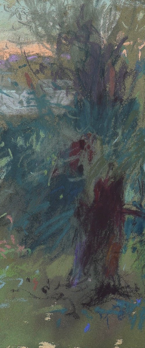 Olive grove by Victoria Ramanovich