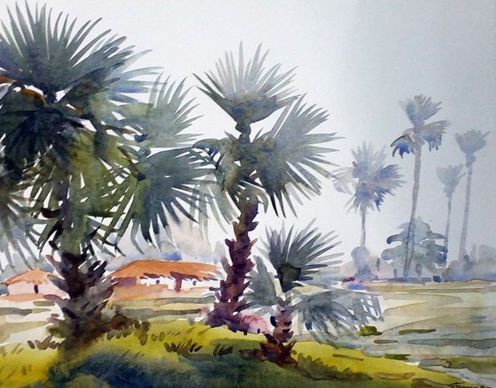 Palm Trees & Rural Landscape
