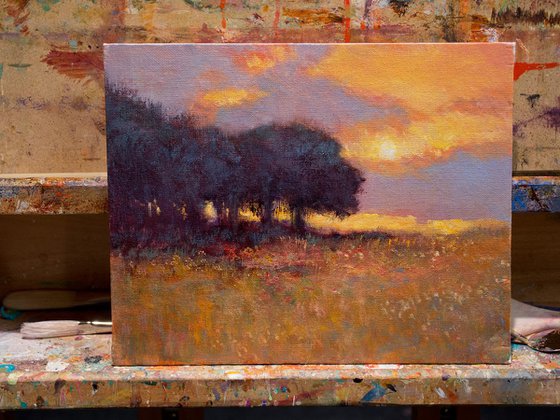 Sunset Oak Trees Plein Air