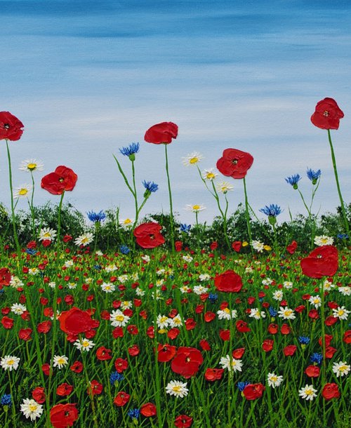 Summer Meadow by Hazel Thomson