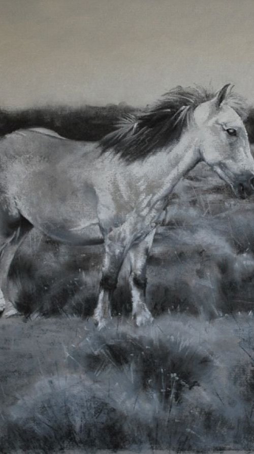 In Shades Of Grey (Framed, ready to hang) by Denise Mitchell