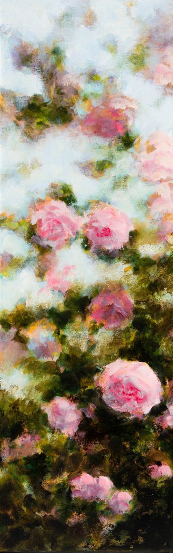 Buisson de roses roses - Pink Rosebush