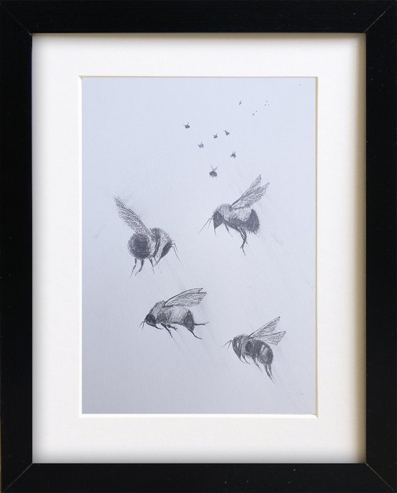 Bees in Motion