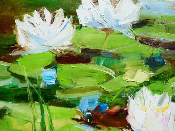"Water Lilies  "