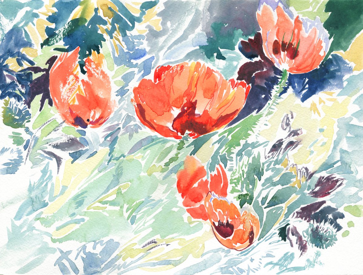 Poppies. Plein air watercolor by Daria Galinski