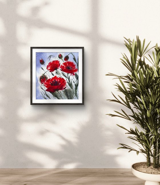 Red Wild Poppies
