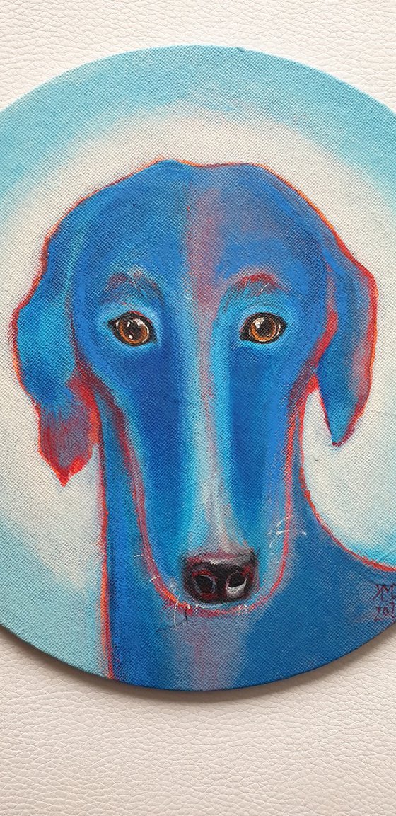 Blue galgo / Hope