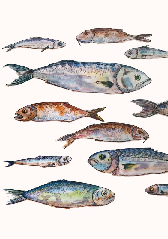 Set of fish - original seafood watercolor paintink and ink graphic