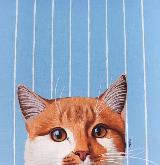 CAT SEE YOU 5