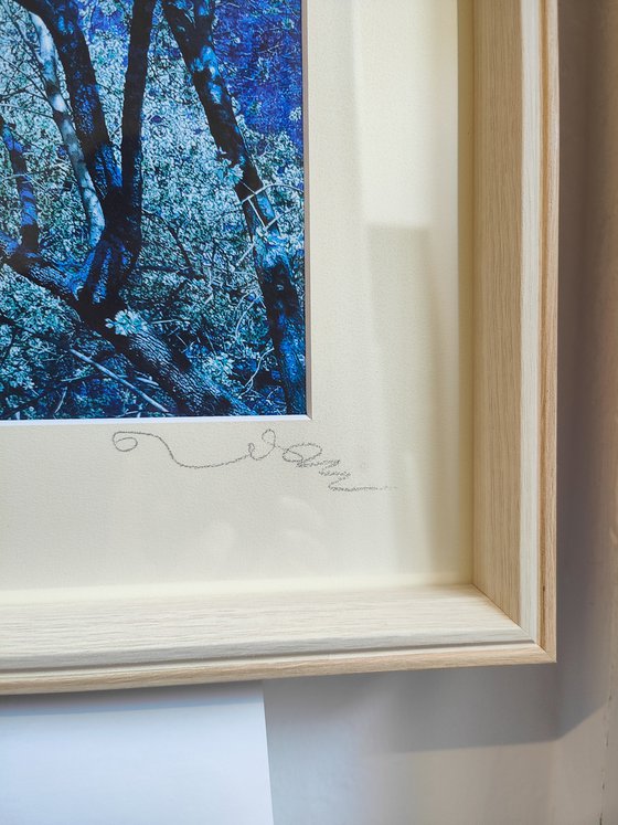 (FRAMED) Nature and Seasons