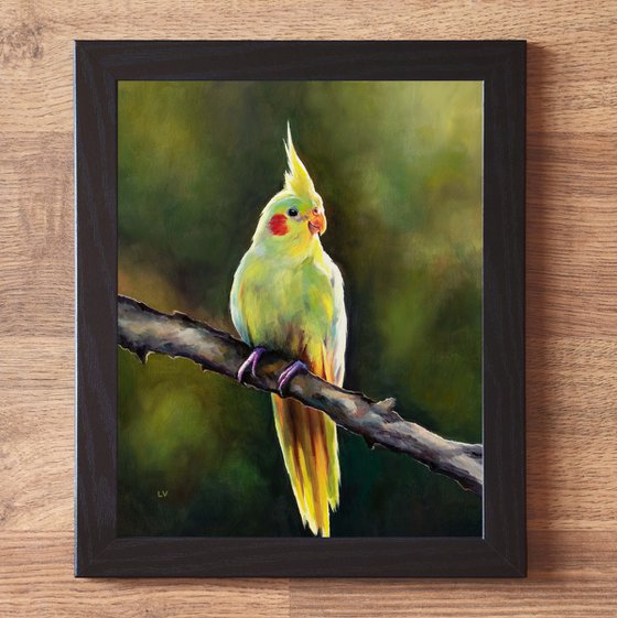 Yellow cockatiel on a branch