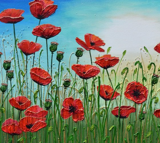 Red Poppy Flowers