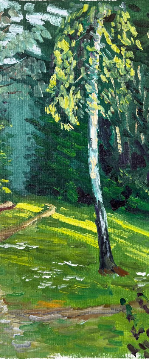 Evening Light on the Birch Tree by Dmitry Fedorov