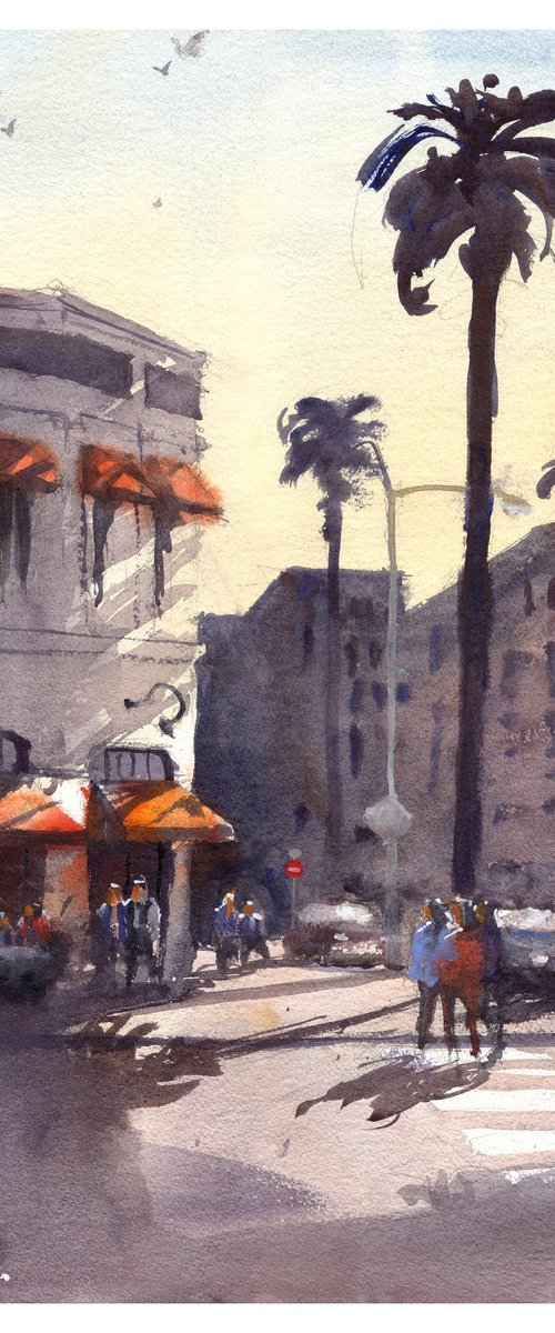 Afternoon Light by CJ Davis