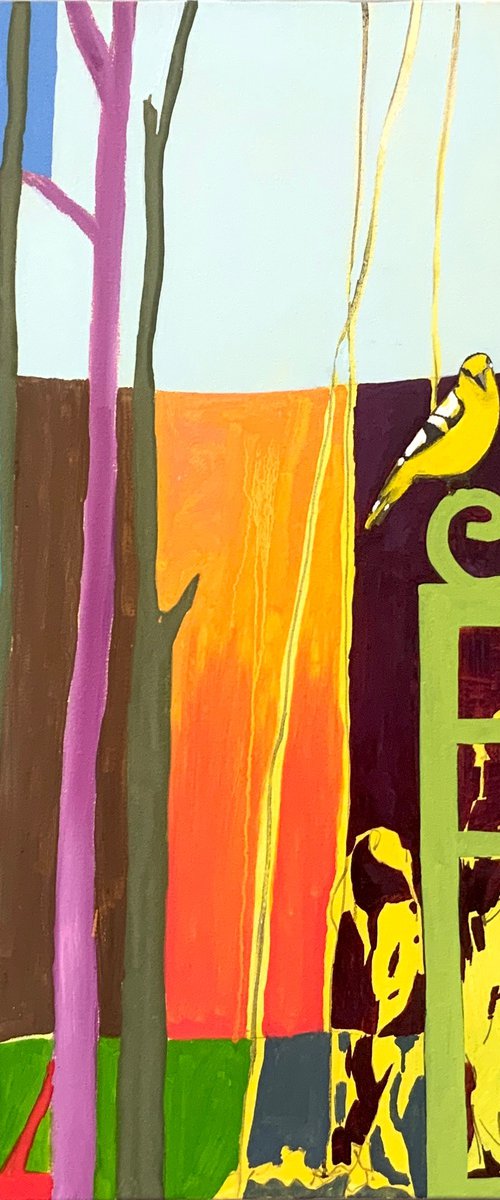 Mr. Finch on his Favorite Perch by Steven Page Prewitt
