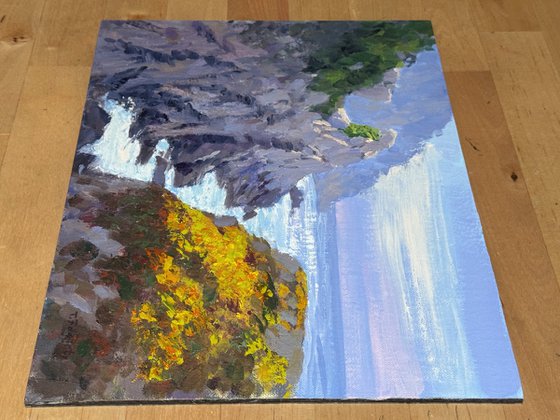 Late Morning At Point Lobos