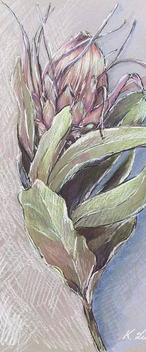 Artichoke Bloom by Ksenia Lutsenko