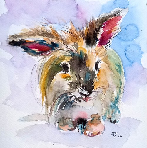 Cute rabbit II by Kovács Anna Brigitta