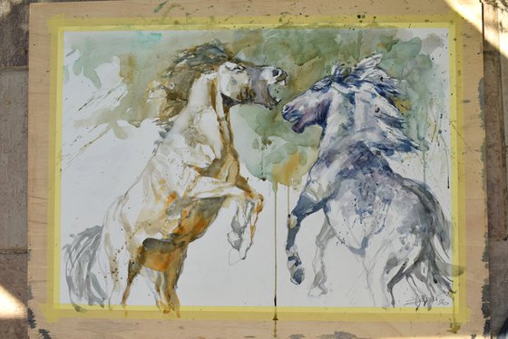 Prancing horses (70x50)