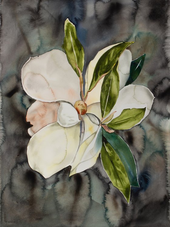 Magnolia Study No. 7