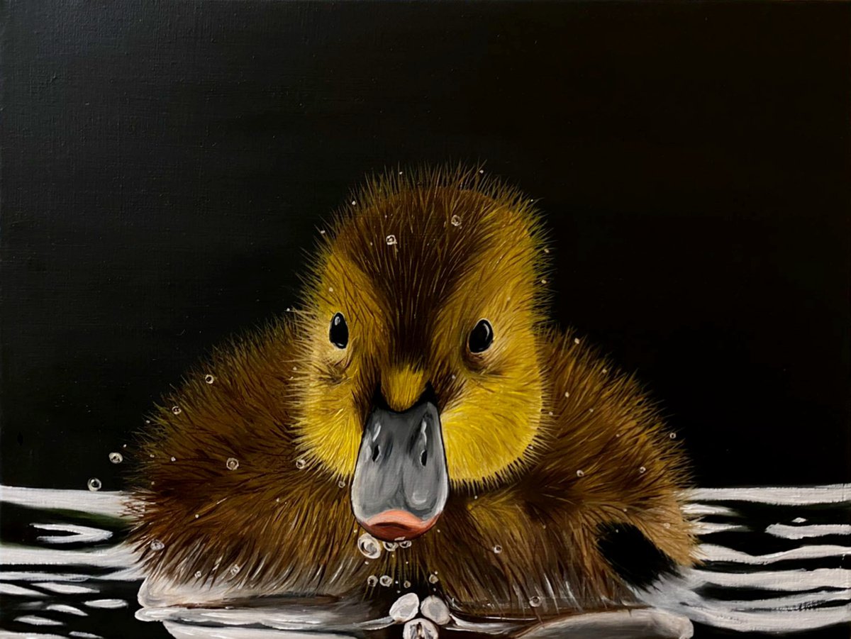 Impressionistic Animal Oil Painting By Elena Adele Dmitrenko, 16 X 12, Duckling, Original Artwork