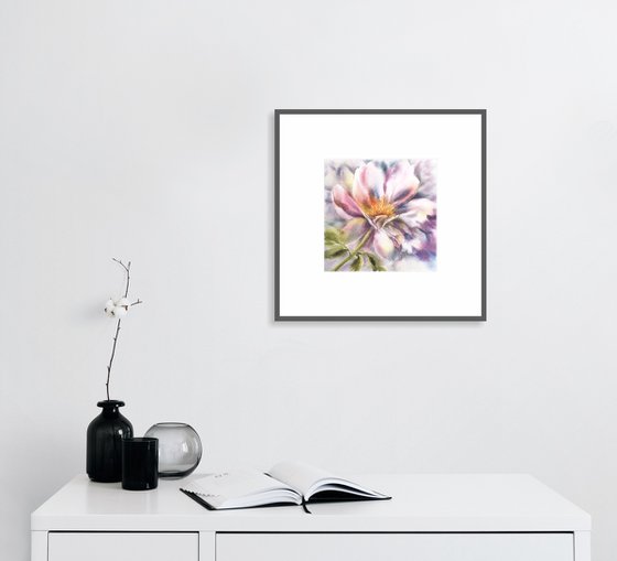 Peony flower watercolor painting