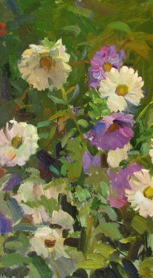 Asters by Viktoriia Pidvarchan