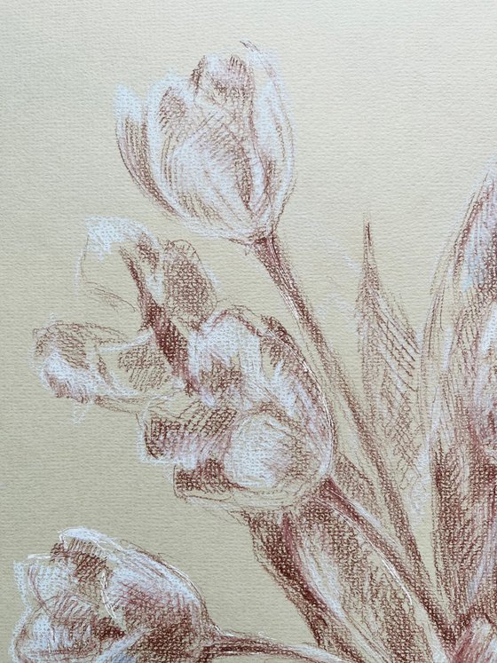 French tulips #1 . Original pencil drawing. 2020