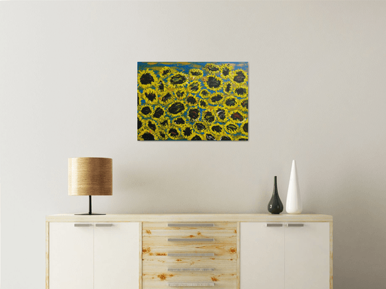 Blooming sunflowers 7