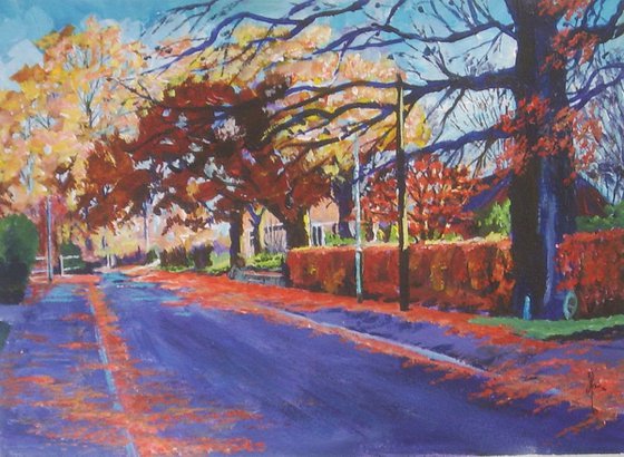 Towers Road Poynton in Autumn 2