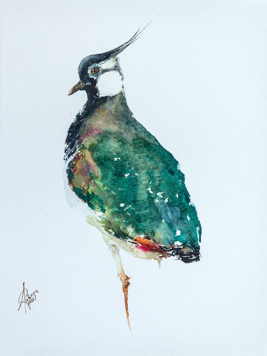 Animal Watercolour By Andrzej Rabiega, 12 X 16, Lapwing, Original Artwork