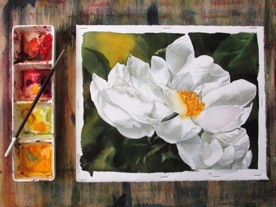 A painting a day # 12 " white peony"