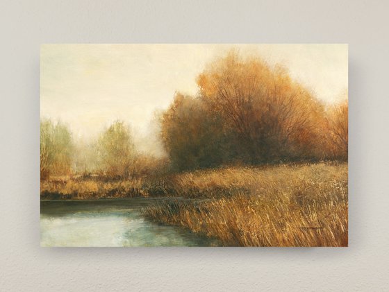 Backlit Trees 251122