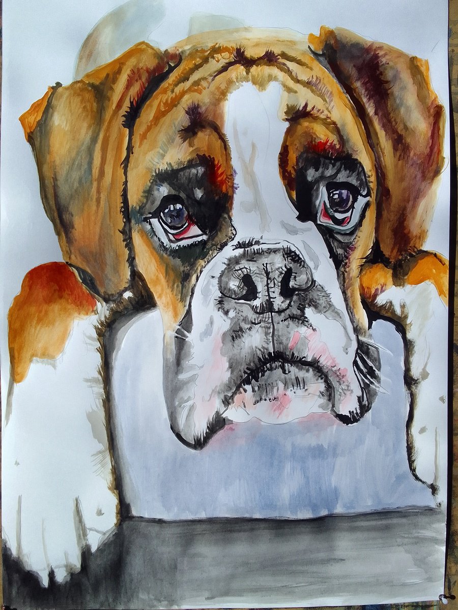 Photorealistic Animal Acrylic Painting By Soso Kumsiashvili, 24 X 33", Boxer Dog, Original Artwork