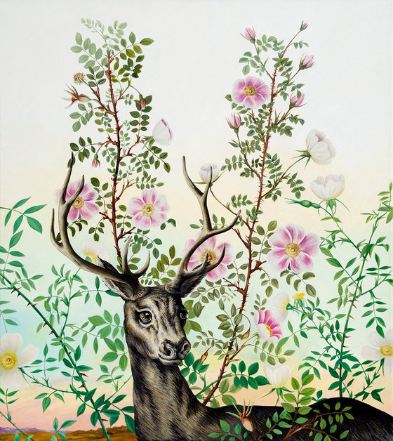 Deer in the wild rose