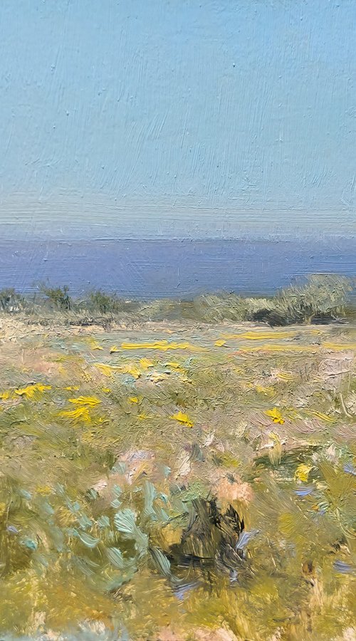 Morbihan (Brittany) by Pascal Giroud