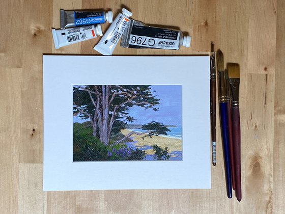 Carmel Beach Keepers