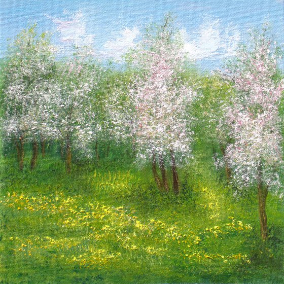 Spring landscape