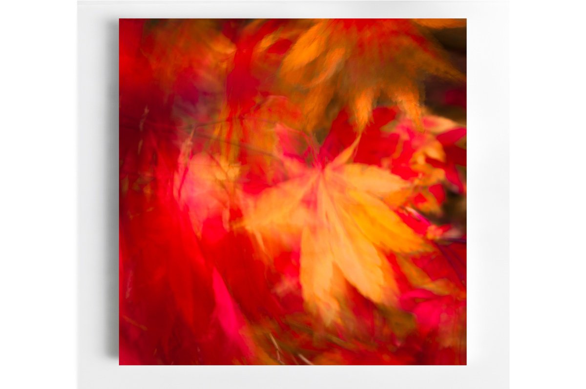 Impressionistic Landscape Photograph By Lynne Douglas, 36 X 36", Carousel, Original Artwork