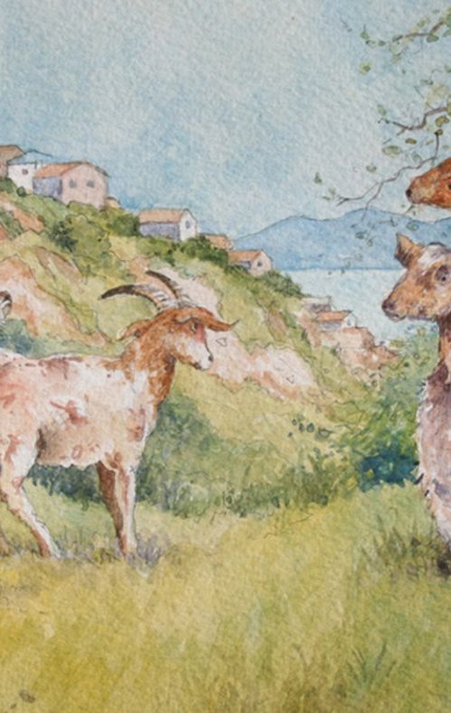 Greek Goats by Christopher Hughes