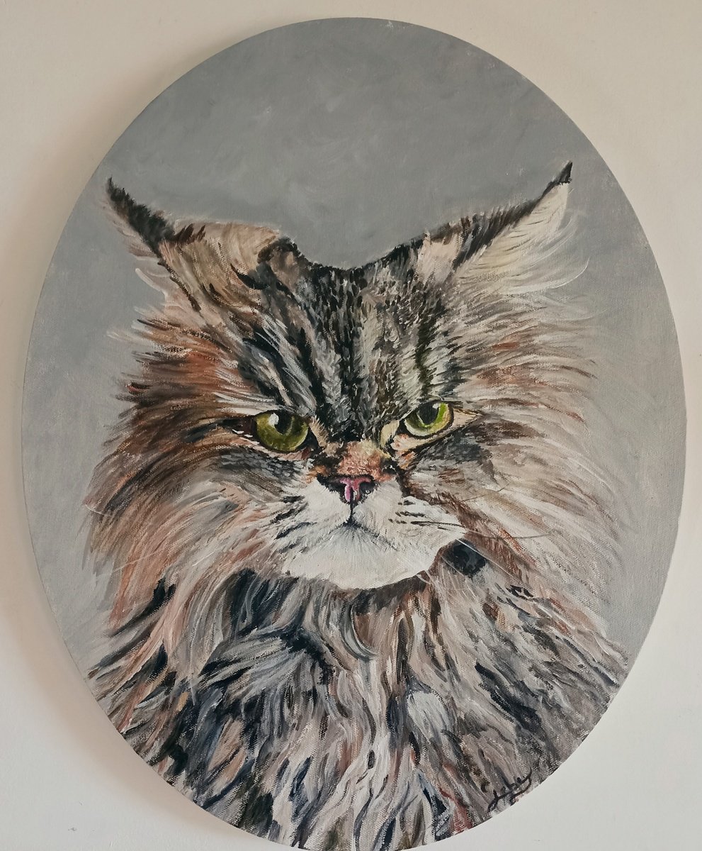 Photorealistic Animal Oil Painting By Isabelle Lucas, 16 X 20, Grumpy Cat, Original Artwork