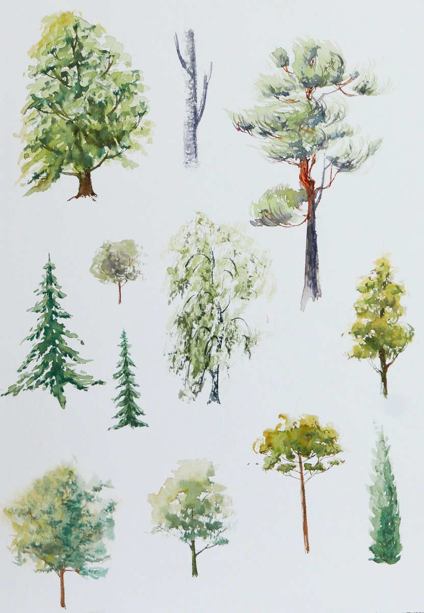 Tree sketches by Karina Danylchuk