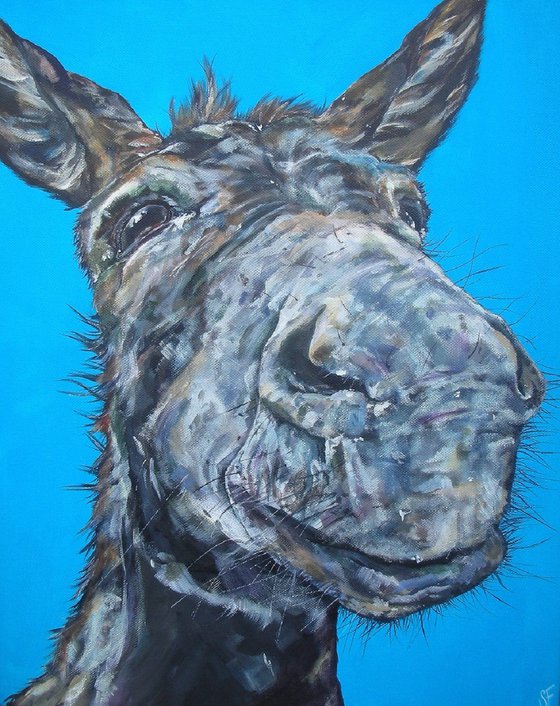 'Donkey Oaty'